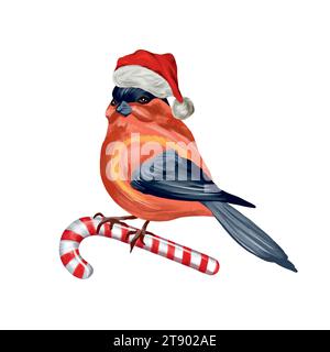 Roter Bullfink in einer Weihnachtsmannmütze auf einem Zuckerrohr. Vektorillustration für Neujahr- und Weihnachtsveranstaltungen. Grußkarten, Einladungen, Banner Flyer Stock Vektor
