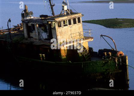 Mary D. Hume Schlepper, Gold Beach, Oregon Stockfoto