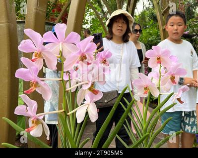 Singapur, Singapur. Oktober 2023. Besucher bestaunen Orchideen im National Orchid Garden, der größten Orchideensammlung der Welt. Vermerk: Carola Frentzen/dpa/Alamy Live News Stockfoto