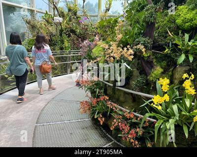 Singapur, Singapur. Oktober 2023. Besucher bestaunen Orchideen im National Orchid Garden, der größten Orchideensammlung der Welt. Vermerk: Carola Frentzen/dpa/Alamy Live News Stockfoto