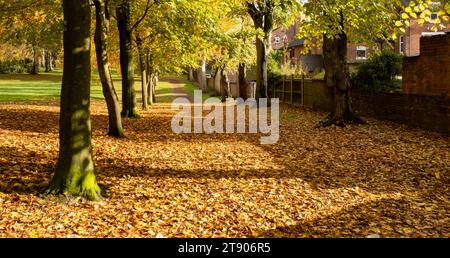 Öffentlicher Park mit Blättern im Herbst Stockfoto