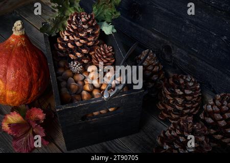 Ganze Haselnüsse in einer alten Holzkiste, Nussknacker, Kürbis- und Pinienzapfen, Herbstdekor Stockfoto