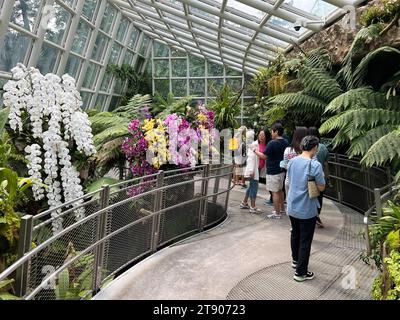 Singapur, Singapur. Oktober 2023. Besucher bestaunen Orchideen im National Orchid Garden, der größten Orchideensammlung der Welt. Vermerk: Carola Frentzen/dpa/Alamy Live News Stockfoto