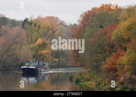 Kleinmachnow, Deutschland. November 2023. Das Lastkahn „Carrera“ segelt entlang des Teltow-Kanals in Richtung Schleuse vor dem Hintergrund von grünen Herbstbäumen. Quelle: Soeren Stache/dpa/Alamy Live News Stockfoto