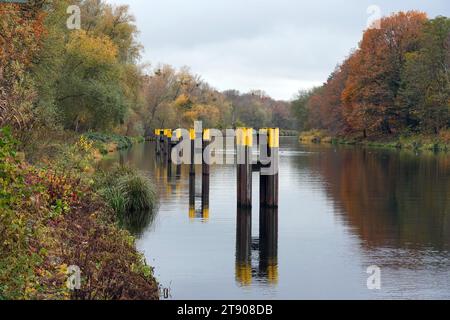 Kleinmachnow, Deutschland. November 2023. Herbstliche Laubbäume stehen in der Nähe der Schleuse am Ufer des Teltow-Kanals. Quelle: Soeren Stache/dpa/Alamy Live News Stockfoto