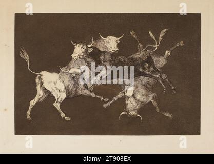Al toro y al Aaire Darles calle (Make Way for Bulls and Wind), unveröffentlichte Platte aus Los Proverbios (die Sprüche), um 1824 (veröffentlicht 1877), Francisco José de Goya y Lucientes, Spanisch, 1746–1828, 8 5/16 x 12 3/4 in. (21,11 x 32,39 cm) (Platte)11 x 15/16 Zoll (27,94 x 37,94 cm) (Blatt), Ätzen, Aquatint und Trockenspitze in Sienna-Tinte, Spanien, 19. Jahrhundert, Francisco Goya (1746–1828) war ein renommierter spanischer Künstler aus dem 18. Jahrhundert, der international für seine bemerkenswerten Leistungen als Maler und Druckmacher bekannt war. Stockfoto