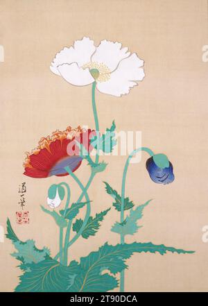 Mohnblumen, Ende des 19. Bis Anfang des 20. Jahrhunderts, Sakai Dōitsu, Japanisch, 1845 - 1913, 15 x 11/16 cm (38,1 x 27,15 cm) (Bild)47 1/8 x 15 7/8 Zoll (119,7 x 40,32 cm) (Halterung, ohne Rolle), Tinte und Farbe auf Seide, Japan, 19.-20. Jahrhundert Stockfoto