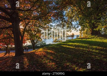 Herbstszene in Vancouver, Kanada. Die Nachmittagssonne scheint durch große Bäume neben der English Bay und wirft lange Schatten. Stockfoto