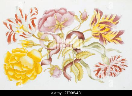 Nelke, Rosen und Tulpen (Dianthus caryophyllus, Rosa spp., Tulipa x generiana), 17. Jahrhundert, Schule von Maria Sibylla Merian, Deutsch, 1647-1717, 7 5/8 x 12 Zoll. (19,37 x 30,48 cm) (Bild)9 1/8 x 13 1/16 Zoll (23,18 x 33,18 cm) (Blatt), Aquarell auf Papier, Niederlande (?), 17. Jahrhundert Stockfoto