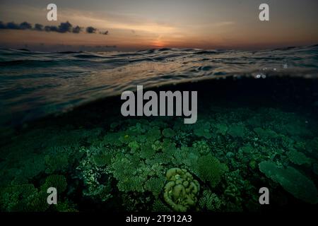 Korallenriff der Mayotte Lagune bei Sonnenuntergang Stockfoto