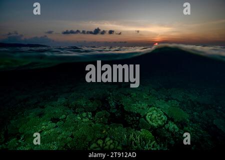 Korallenriff der Mayotte Lagune bei Sonnenuntergang Stockfoto