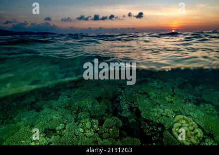 Korallenriff der Mayotte Lagune bei Sonnenuntergang Stockfoto