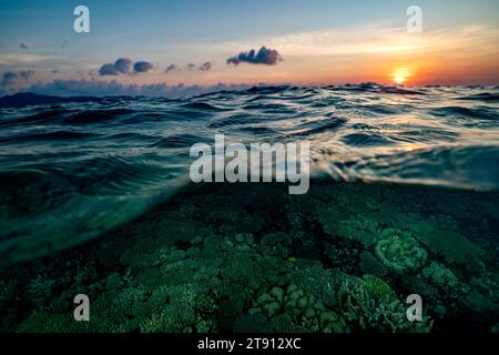 Korallenriff der Mayotte Lagune bei Sonnenuntergang Stockfoto