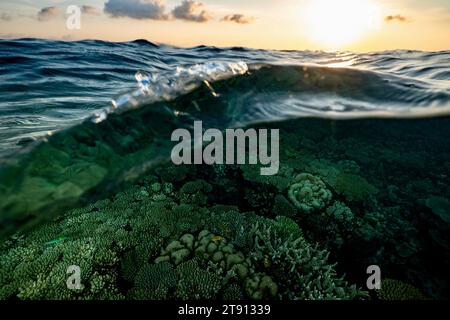 Korallenriff der Mayotte Lagune bei Sonnenuntergang Stockfoto