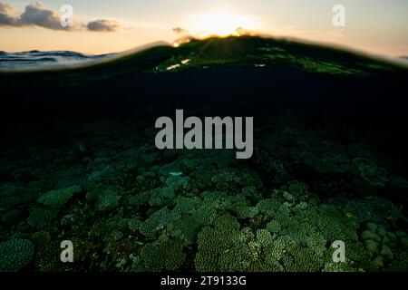 Korallenriff der Mayotte Lagune bei Sonnenuntergang Stockfoto