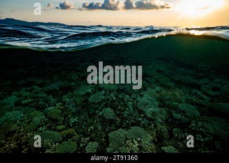 Korallenriff der Mayotte Lagune bei Sonnenuntergang Stockfoto