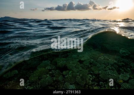 Korallenriff der Mayotte Lagune bei Sonnenuntergang Stockfoto