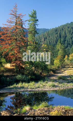 South Umpqua River, Myrtle Creek Canyonville Scenic Historic Tour Route, Douglas County, Oregon Stockfoto