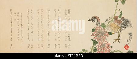 Francolin and Chrusanthemum, um 1860, Yoshikawa Shōkoku, Japanisch, fl. c.1860, 3/8 x 1/4 Zoll (18,7 x 48,9 cm) (Bild, Blatt), Holzblock-Druck (Surimono); Tinte und Farbe auf Papier, Japan, 19. Jahrhundert, Francolins oder Shako auf Japanisch, werden oft mit Rebhühnern, ihren kleineren Cousins, verwechselt. Die Japaner assoziieren beide Vögel mit dem Herbst, da sie auf den Feldern während der Reifung des Getreides zu sehen sind. Francolins galten jedoch wegen ihrer langjährigen Verbindung mit chinesischen Versen als poetischer als Rebhühner. Ihr melancholischer Schrei auf das chinesische Ohr klingt, als ob du nicht dorthin gehst Stockfoto