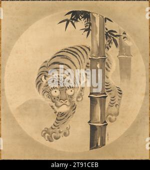 Tiger aus Bambus, Anfang des 18. Jahrhunderts, Kano Tsunenobu, Japanisch, 1636–1713, 58 1/2 x 55 Zoll (148,59 x 139,7 cm) (Bild)108 1/2 x 63 Zoll (275,59 x 160,02 cm) (ohne Rolle), hängende Rolle; Tusche und Farbe auf Papier, Japan, 18. Jahrhundert, Tiger als Motiv der Malerei wurden bei japanischen Künstlern bereits im 15. Jahrhundert populär, als chinesische Beispiele nach Japan gebracht wurden. Innerhalb der Zen-Klöster wurden sie zu Symbolen des erdgebundenen Geistes und wurden oft mit Drachenbildern gepaart, Wahrzeichen des aufsteigenden Erleuchteten. Stockfoto