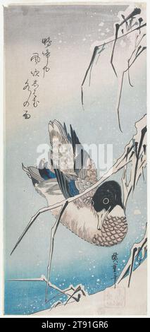 Stockenten und schneebedeckte Schilfe, ca. 1832-1834, Utagawa Hiroshige, Japanisch, 1797-1858, 3/4 x 13/16 Zoll (37,5 x 17,3 cm) (Bild, ōtanzaku)23 x 19 x 1 1/2 Zoll (58,42 x 48,26 x 3,81 cm) (äußerer Rahmen), Holzblock-Druck (nishiki-e); Tinte und Farbe auf Papier, Japan, 19. Jahrhundert, die mehr studierte Herangehensweise an die Darstellung dieser Ente sowie die Überlagerung kompositorischer Elemente deuten auf den stilistischen Einfluss der Kano-Schule auf Hiroshige hin. Die Holzschnitt-Drucktechniken, die es ermöglichten, die Schneeflocken in Negativreserve gegen abgestufte Blaufelder zu rendern Stockfoto