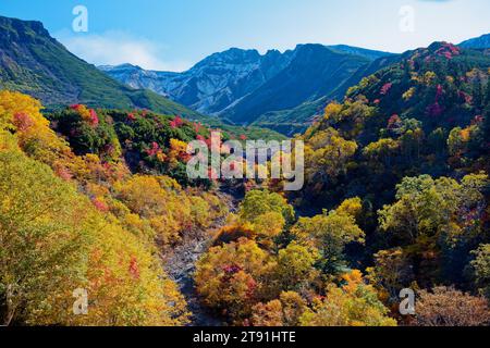 Herbstlaub, Tokachidake Onsen, Präfektur Hokkaido, Japan Stockfoto