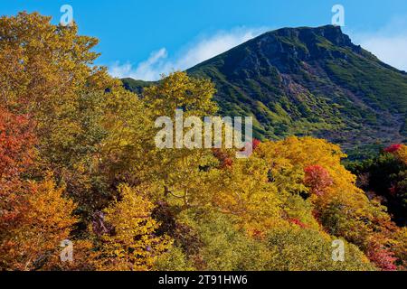 Herbstlaub, Tokachidake Onsen, Präfektur Hokkaido, Japan Stockfoto