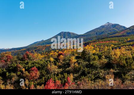 Herbstlaub vom Mt.Tokachi Observatory, Hokkaido, Japan Stockfoto