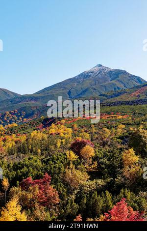 Herbstlaub vom Mt.Tokachi Observatory, Hokkaido, Japan Stockfoto