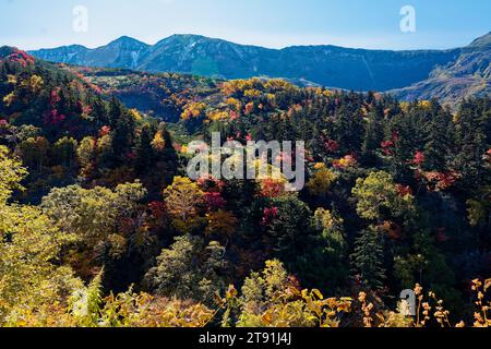 Herbstlaub, Tokachidake Onsen, Präfektur Hokkaido, Japan Stockfoto