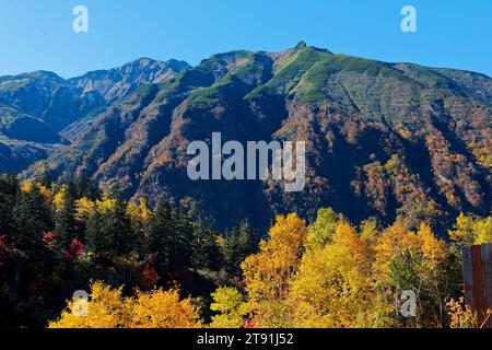 Herbstlaub, Tokachidake Onsen, Präfektur Hokkaido, Japan Stockfoto
