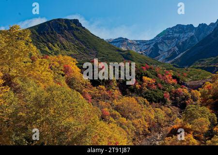 Herbstlaub, Tokachidake Onsen, Präfektur Hokkaido, Japan Stockfoto