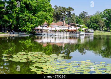 Craiova, Rumänien, 28. Mai 2022: Lebhafte Landschaft im Nicolae Romaescu Park in der Grafschaft Dolj, mit See, Wasserlillien und großen grünen Tres in einem wunderschönen s Stockfoto