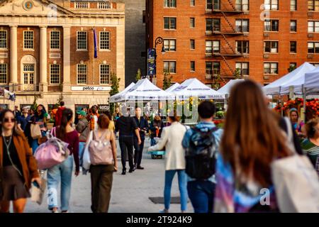 Einkäufer auf dem Union Square Farmers Market, New York City Stockfoto