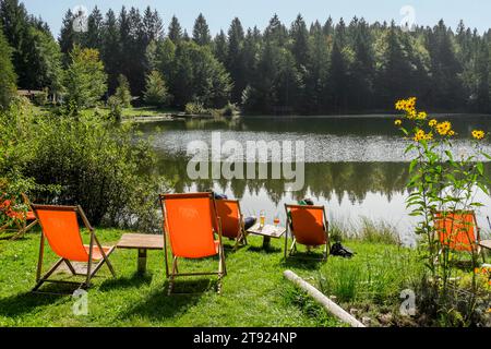 Liegestühle auf einer Wiese am Pflegersee, Garmisch-Partenkirchen, Werdenfelser Land, Oberbayern, Bayern, Deutschland Stockfoto