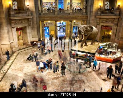 Die Rotunde des National Museum of Natural History in Washington, DC Stockfoto