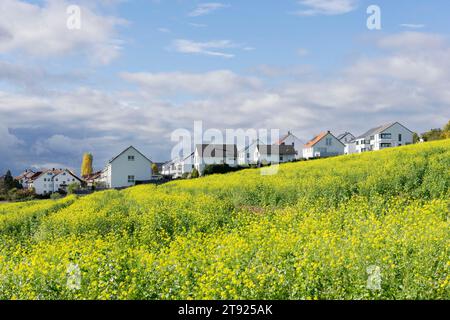 Moderne Wohnblöcke, energiesparende Häuser, neue Wohnsiedlungen, Senffeld, Waiblingen, Baden-Württemberg, Deutschland Stockfoto