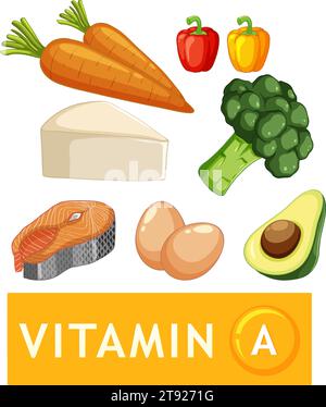 Darstellung verschiedener nahrhafter Lebensmittel mit hohem Vitamin-A-Gehalt Stock Vektor