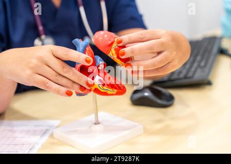 Nahaufnahme eines nicht erkennbaren Kardiologen mit einem Herzformmodell, um einem Patienten etwas zu erklären Stockfoto