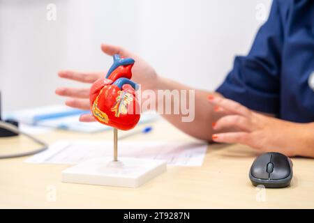 Nahaufnahme eines nicht erkennbaren Kardiologen mit einem Herzformmodell, um einem Patienten etwas zu erklären Stockfoto