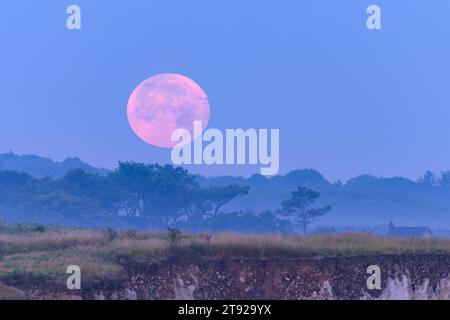 Roter Mond über hohen Klippen nahe Ault in Nordfrankreich, nebeliger Morgen im Sommer Stockfoto