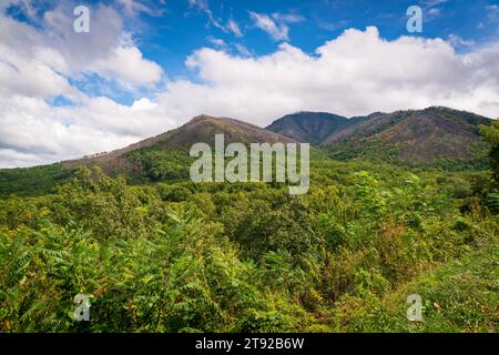 Great Smoky Mountains National Park in North Carolina Stockfoto