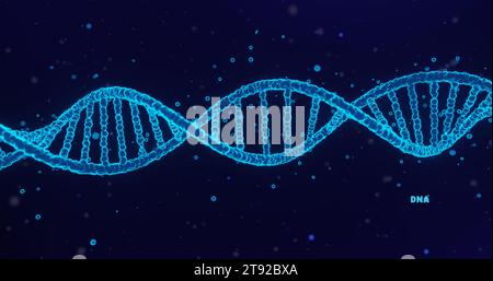 Abstrakte 3d polygonale Drahtmodell-DNA-Molekül-Spirale auf Blau. Medizinische Wissenschaft, genetische Biotechnologie, chemische Biologie, Genzellkonzeptvektor Stockfoto