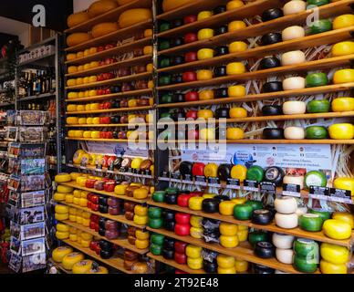 Gouda, die Nehterlands - 20. April 2023: Ausstellung von traditionellem holländischem Käse in der lokalen Käserei in Gouda, Niederlande Stockfoto