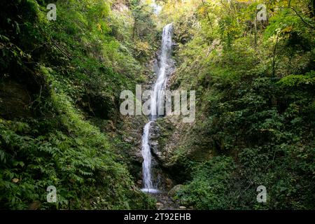 Yoro Wasserfall auf der Insel Sado in der Präfektur Niigata, Japan. Stockfoto