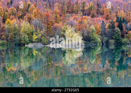 Planinsko polje in Slowenien, typisches Karstfeld im Herbst überschwemmt, Bäume, Straßen und Felder unter Wasser, Wald in Herbstfarben, Reflexion im Wasser Stockfoto