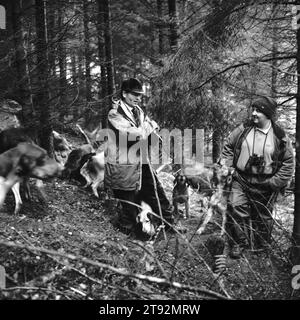 Fox Hunting UK, Lake District, Blencathra Foxhounds. Ein Fuchs ist auf der Erde, Barry Todhunter blockiert die Erde, bevor er die Hunde vor der Ankunft der Terrier-Männer abruft. In der Saison 2003-4 wurden 100 Füchse verzeichnet. In Der Nähe Von Braithwaite, Cumbria. 2002, 2000er England HOMER SYKES Stockfoto