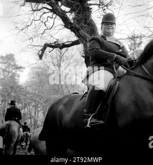 Der Herzog von Beaufort Hunt. Das berittene Feld wartet auf einer Lichtung auf dem Badminton-Anwesen, während Jäger und Hunde eine Tarnung ziehen. The Boxing Day Meet, Worcester Lodge, nahe Didmarton, Gloucestershire 2002. HOMER SYKES AUS DEN 2000ER JAHREN Stockfoto