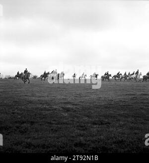 Der Herzog von Beauforts Jagd. Die Jagd in voller Galopp durch die Landschaft bei strömendem Regen. In der Nähe von Luckington, Gloucestershire England, Großbritannien 2002 2000S HOMER SYKES Stockfoto