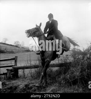 Der Herzog von Beauforts Jagd. Ein berittener Anhänger springt bei strömendem Regen. In der Nähe von Luckington, Gloucestershire England, Großbritannien, 2002 2000er Jahre HOMER SYKES Stockfoto